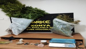 Konya'da evinin bahçesindeki serada Hint keneviri yetiştiren zanlı tutuklandı 