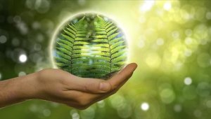 Küresel hidrojen üretiminin yüzde 94'ü 2050'de yenilenebilir enerji kaynaklarından elde edilecek