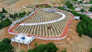 "Meram Lavanta Bahçesi" açıldı