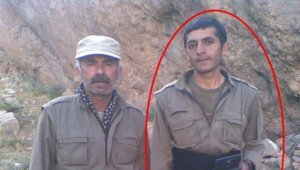 MİT'in etkisiz hale getirdiği teröristin 2021'de çıkarılan orman yangınlarının talimatını verdiği belirlendi