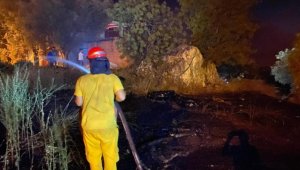 Muğla'da ormanlık alanda çıkan yangına müdahale ediliyor