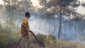 Orman yangınlarına neden oldukları gerekçesiyle bir haftada 7 şüpheli gözaltına alındı