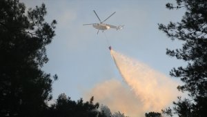 Sakarya'da ormanlık alanda çıkan yangın kontrol altına alındı
