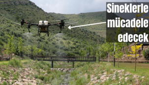Tarımdan sonra sinek ilaçlamasında da drone devri