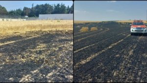 Tekirdağ'da buğday ekili tarlada çıkan yangında 15 dönüm alan zarar gördü