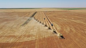 Türkiye, bölgesinde tarım sektöründe stratejik ortak olarak görülüyor