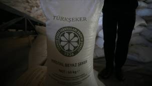 TÜRKŞEKER 1000 geçici işçi alımı yapılacak