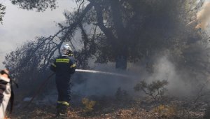 Yunanistan'da son 24 saatte 46 orman yangını çıktı