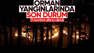 Yurt genelinde görülen orman yangınlarında son durum