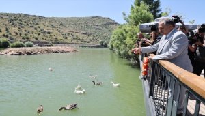 Zincidere 100. Yıl Mesire Alanı'nı hafta sonu 9 bin kişi gezdi