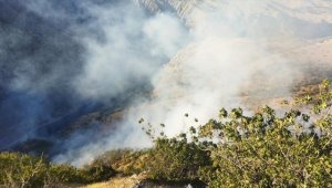 Adıyaman'ın Gerger ilçesinde çıkan orman yangını kontrol altına alındı