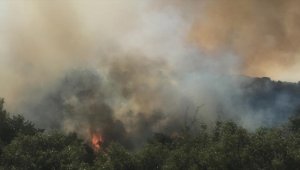 Afyonkarahisar'da çıkan orman yangınına müdahale ediliyor