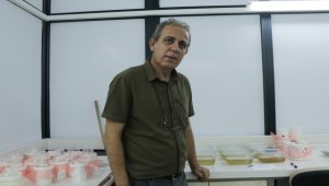 Asya kaplan sivrisineğine karşı plastik atık uyarısı