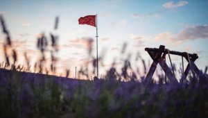 BAKAP'ın lavanta bahçeleri yeni evlenecekler ve ilgi duyan herkes için ücretsiz fotoğraf çekimine açıldı 