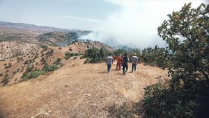 Bingöl'de ormanlık alanda çıkan yangına müdahale sürüyor