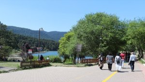 Bolu'da sıcaktan bunalanların tercihi Gölcük Tabiat Parkı oldu