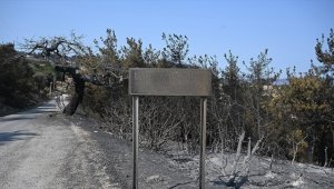 Çanakkale'deki orman yangını nedeniyle 1428 kişi tedbir amaçlı tahliye edildi