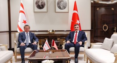 Cumhurbaşkanı Yardımcısı Yılmaz, KKTC Başbakanı Üstel ile bir araya geldi