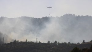 Hatay'da çıkan orman yangınına havadan ve karadan müdahale ediliyor