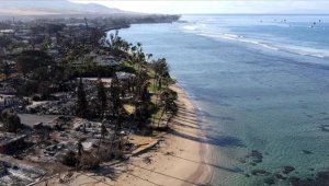 Hawaii'de orman yangınına sebep olduğu iddia edilen elektrik dağıtım firmasına dava açıldı