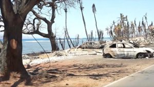 Hawaii'deki orman yangınlarında ölenlerin sayısı 106'ya yükseldi