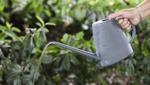 İstanbul'da barajların su seviyesi vatandaşı tasarrufa yöneltti