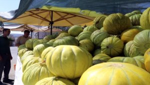 Kavun çekirdekleri takviye gıda ve kozmetik ürünü olarak değerlendirilebilecek