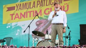 Kayseri'de patlıcan festivalinde yaklaşık 20 bin kişiye güveç ikram edildi