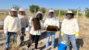KAYÜ Yeşilhisar Meslek Yüksekokulunda Bal Hasadı Yapıldı