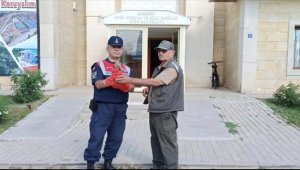 Kırşehir'de doğada bulunan yaralı kerkenez kuşu tedaviye alındı