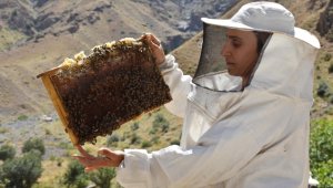 Kooperatif kuran Hakkarili kadınlar, arıcılıkta söz sahibi olmak istiyor