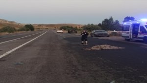 Sivas'ta cipin çarptığı yaya hayatını kaybetti