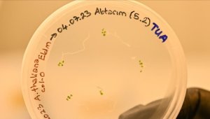 Türk bilim insanları uzayda bitki yetiştirecek
