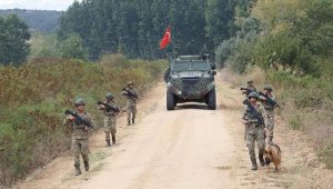 Yasa dışı yollarla sınırı geçmeye çalışan 4 terörist yakalandı