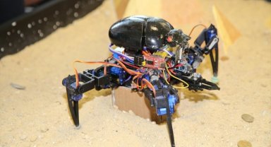 15. Uluslararası MEB Robot Yarışması başlıyor