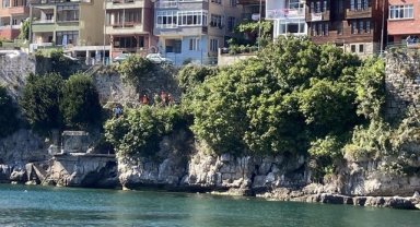 3 bin yıllık Amasra Kalesi'ne zarar veren ağaç kökleri temizleniyor