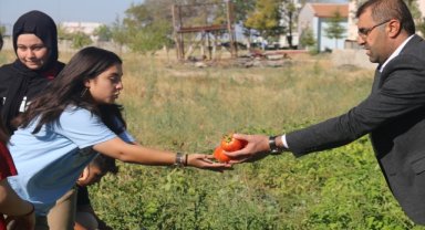 Aksaray'da lise öğrencileri ektikleri sebzelerin hasadını yaptı 