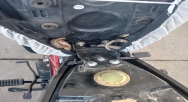 Aksaray'da motosikletin selesine giren yılanı itfaiyeciler çıkardı