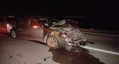 Aksaray'da otomobilin çarptığı sürüde 15 koyun telef oldu 