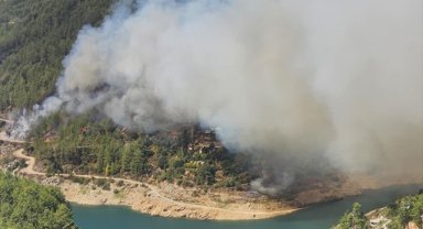Alanya'da orman yangını çıktı