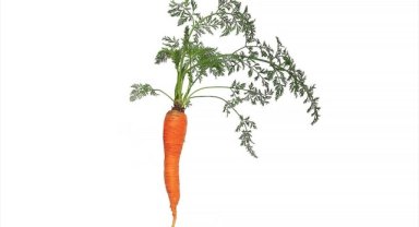 Araştırmacılar, havucun renginin turuncu olmasında etkili 3 çekinik gen keşfetti