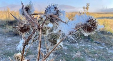 Ardahan'da soğuk hava nedeniyle sis, kırağı ve buzlanma oluştu
