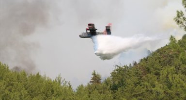 Bakan Yumaklı: Alanya'daki orman yangınının yaklaşık 190 hektarlık bir alanı etkilediğini ölçümledik