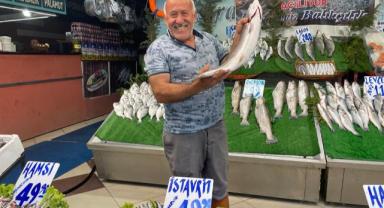 Balıkçılar ‘vira bismillah’ dedi, tezgahlar şenlendi