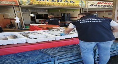 Beyşehir'de balık boy denetimleri