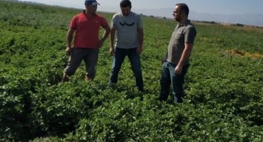 Beyşehir'de üreticiler zararlılara karşı bilgilendiriliyor