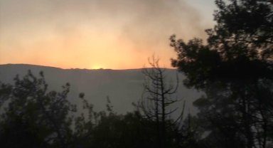 Bilecik'teki orman yangınına müdahale sürüyor