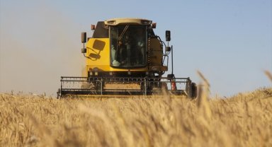 Bitlis'te sertifikalı tohumlar hububatta rekolte beklentisini yükseltti