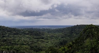 Brezilya Amazonlarındaki kuraklık tehlikesi 500 bin kişiyi olumsuz etkileyebilir
