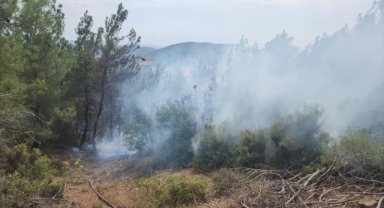 Çanakkale'de yıldırım düşmesi sonucu 6 noktada çıkan orman yangınlarından 5'i söndürüldü